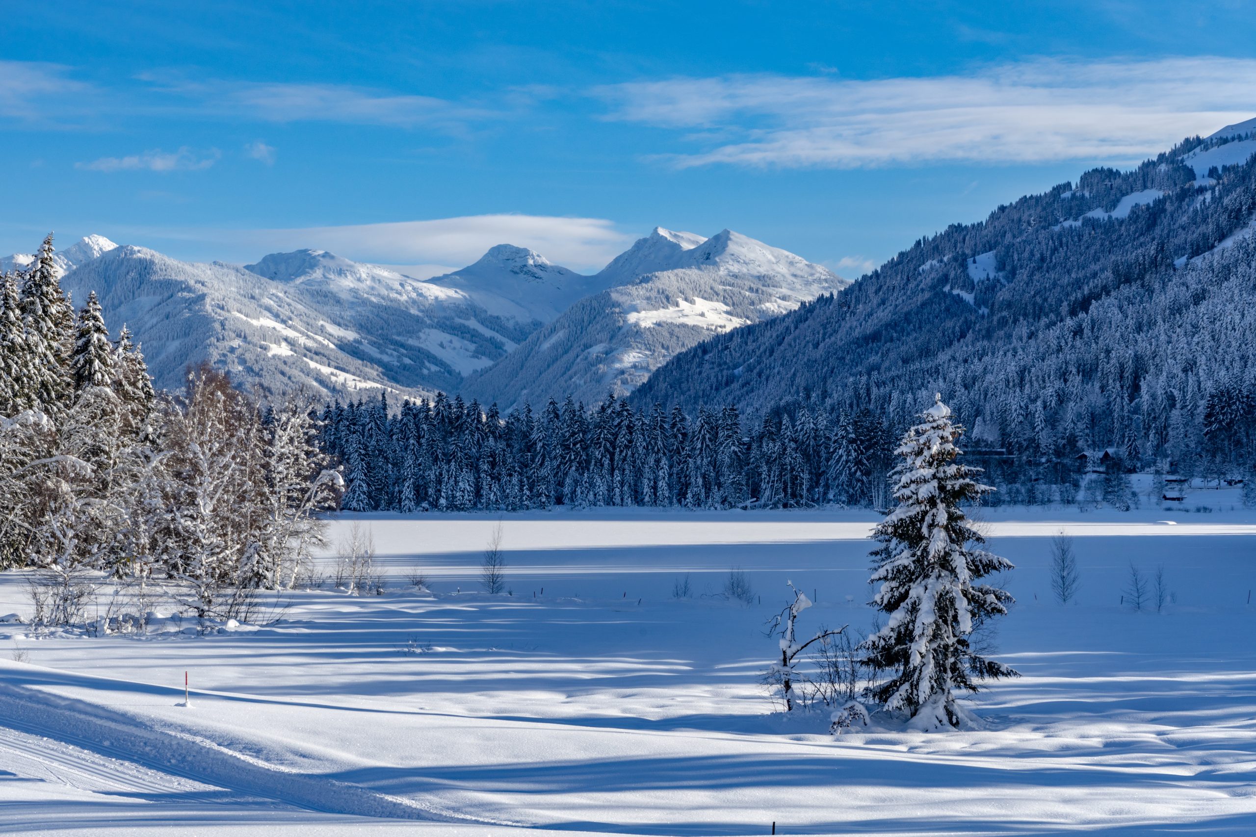 Landschaft Natur Winterwandern Schwarzsee Winter Wald (c) Kitzbuehel Tourismus