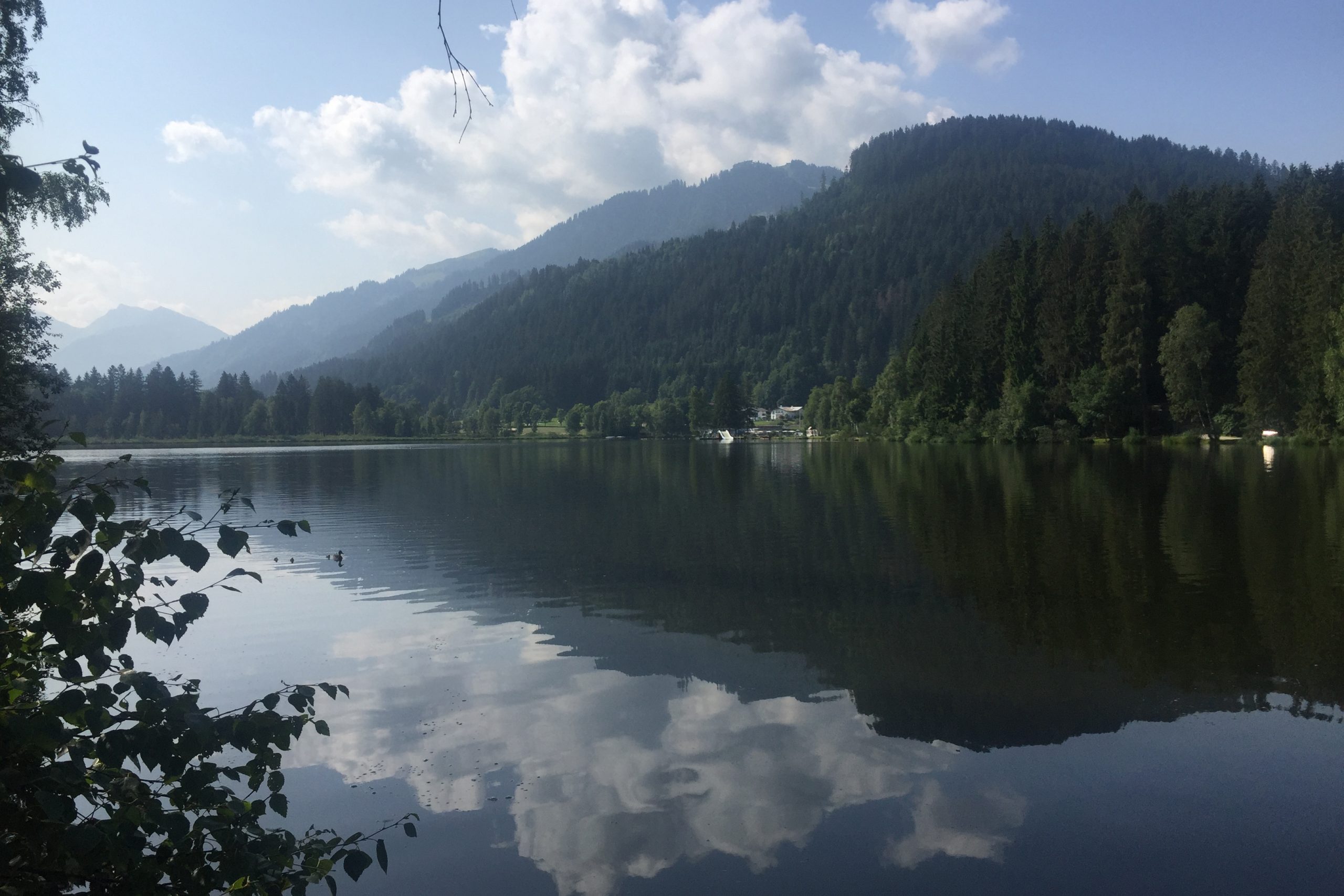 Schwarzsee_Sommer1