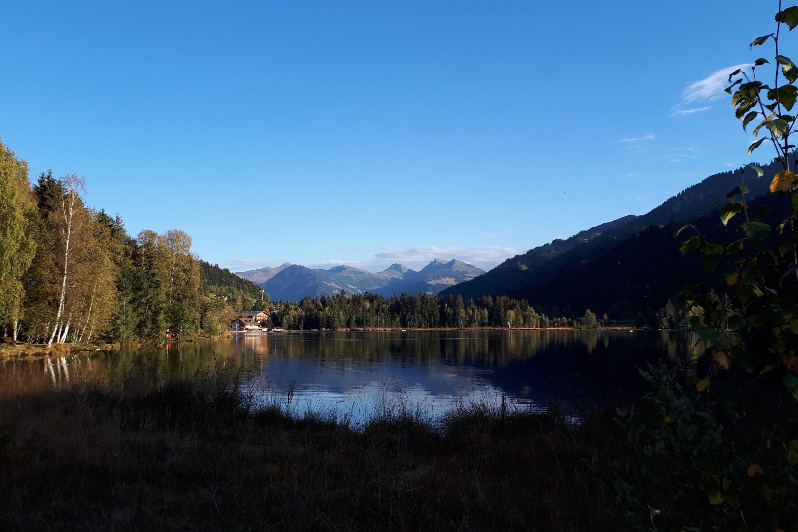 Schwarzsee_Sommer2