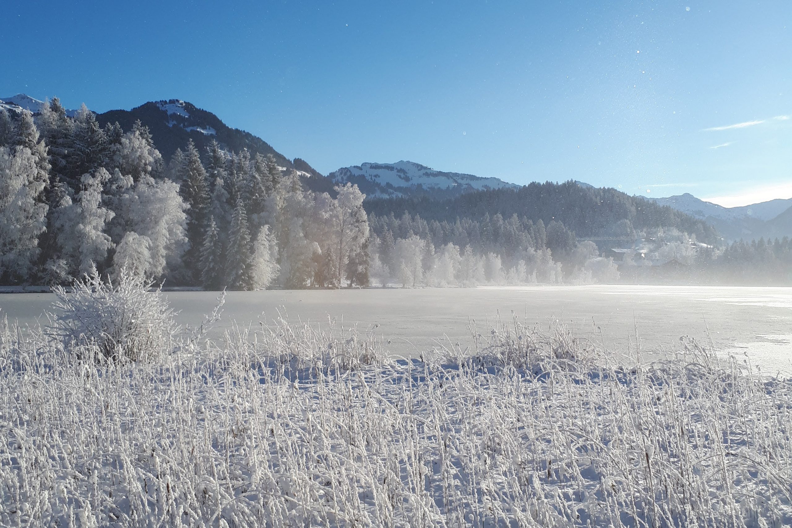Schwarzsee_Winter3